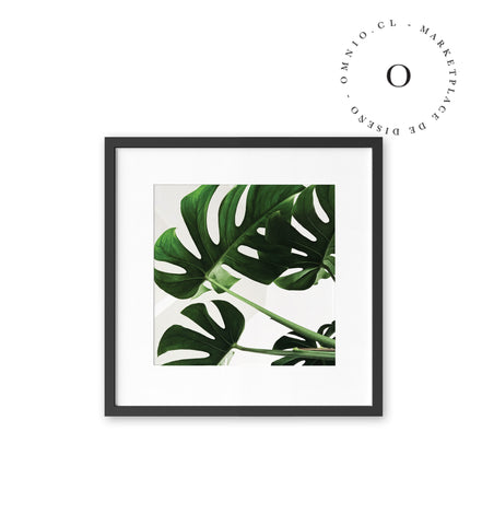 Simple Leaf I Cuadro