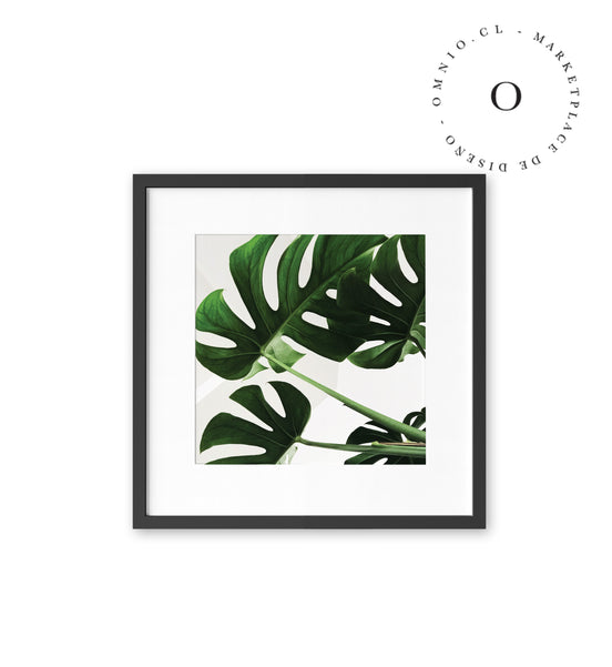 Simple Leaf I Cuadro