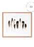 Plumas Cuadro