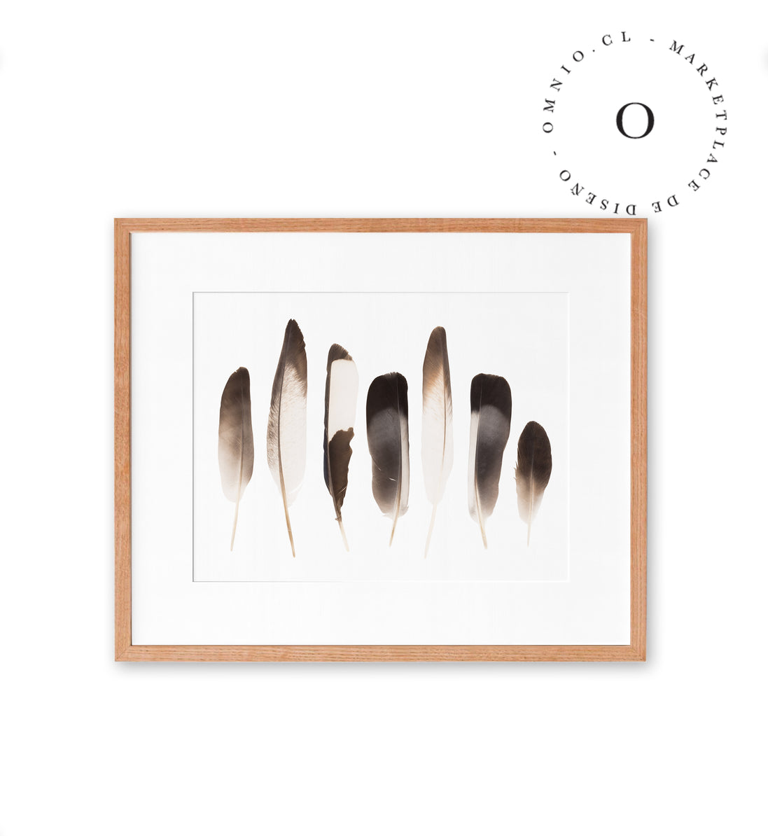 Plumas Cuadro