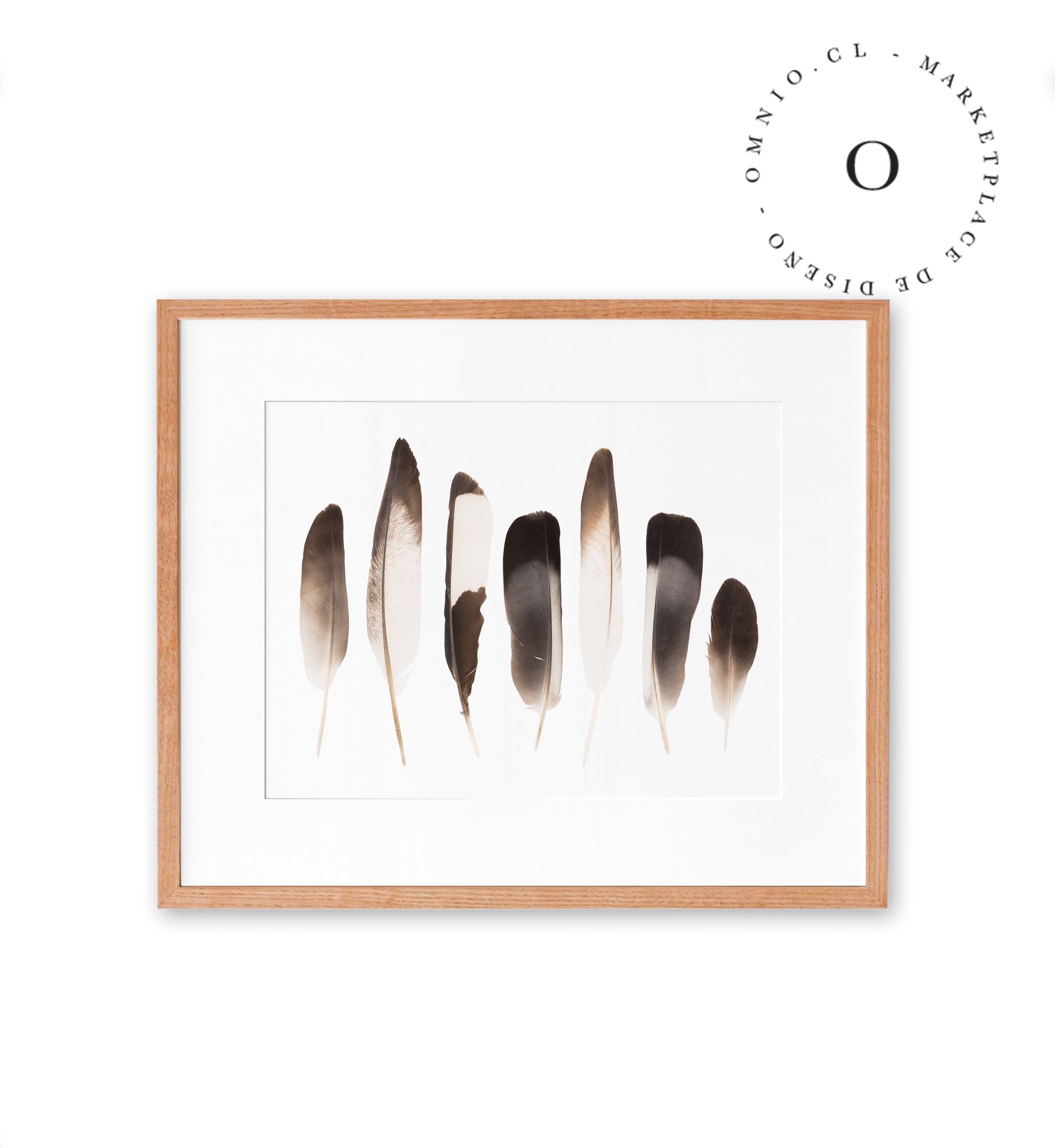 Plumas Cuadro