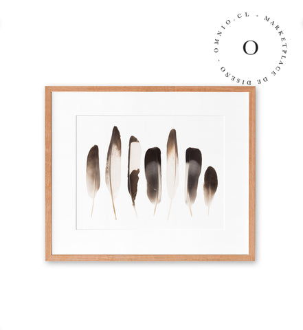 Plumas Cuadro
