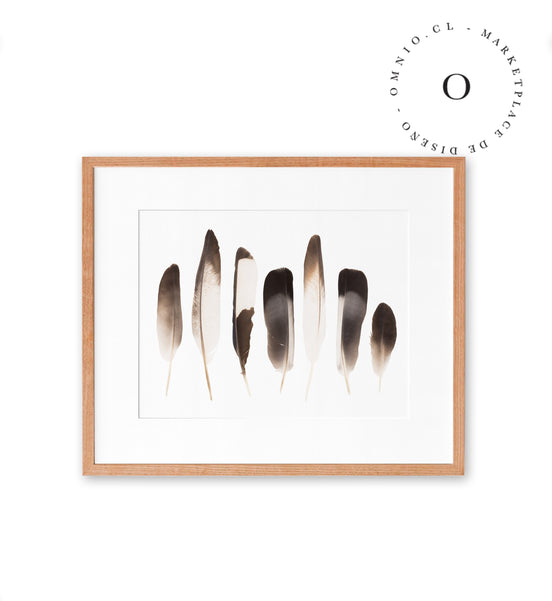 Plumas Cuadro