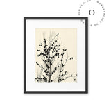 Black Birds On Tree Cuadro