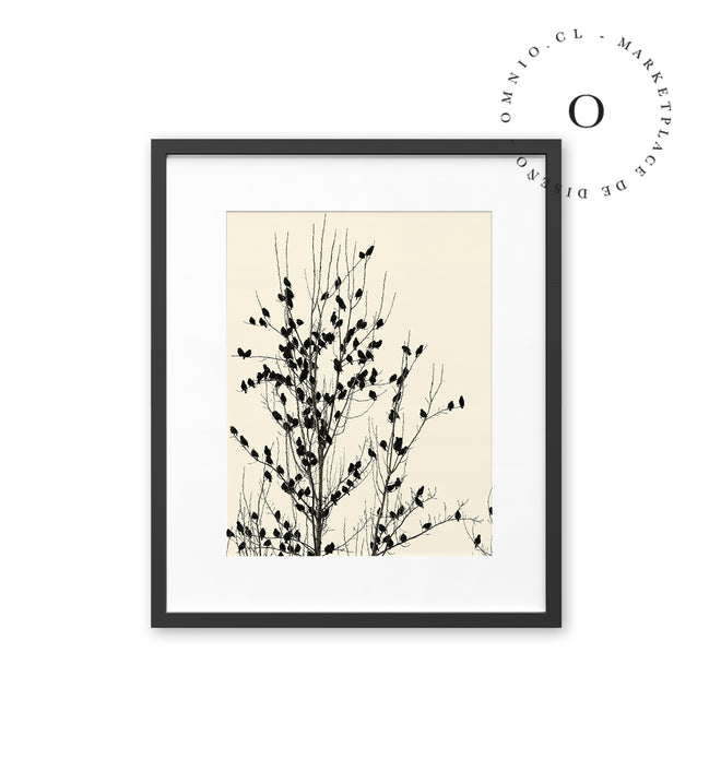 Black Birds On Tree Cuadro