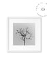 Black Branch Cuadro