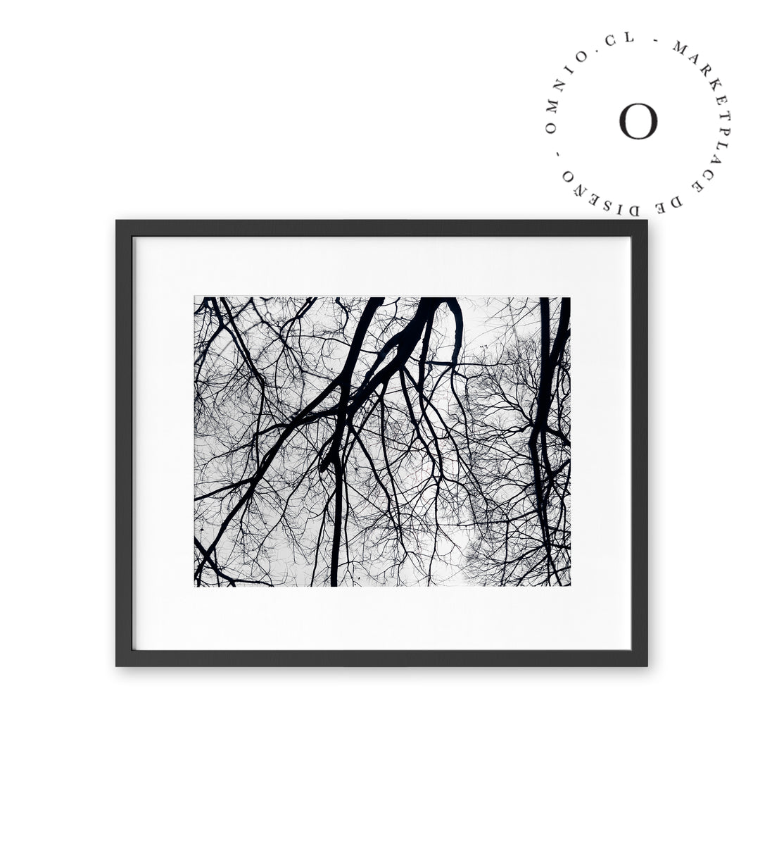 Black and White Branch Cuadro