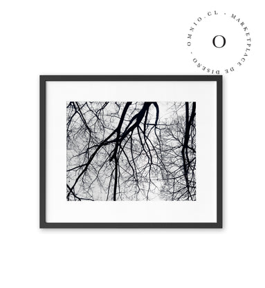 Black and White Branch Cuadro