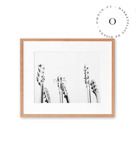 Black and White Guitars Cuadro