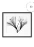 Black and White Lilium Cuadro