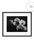 Black and White Orchid Cuadro