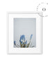 Blue Blossom Cuadro