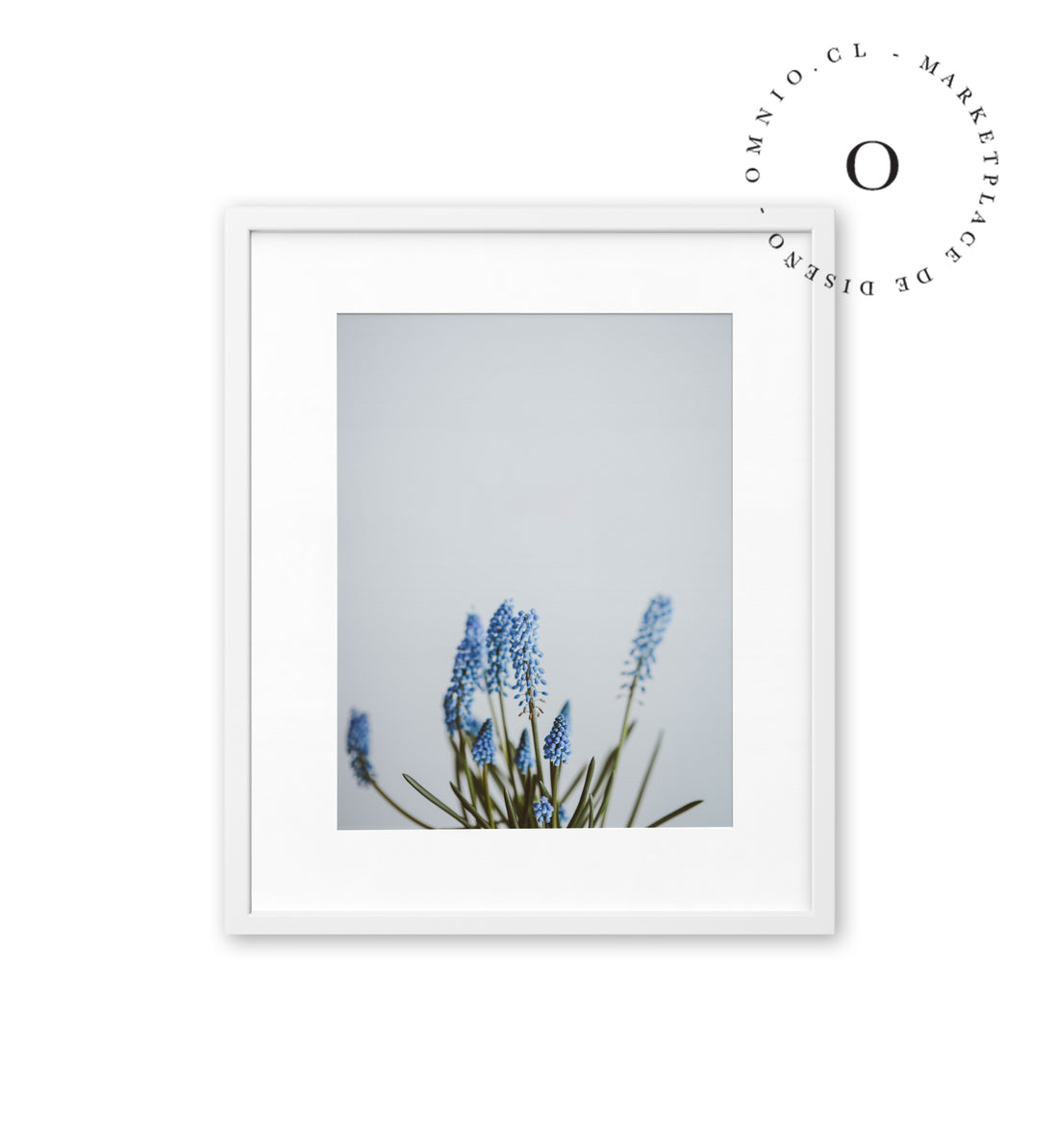 Blue Blossom Cuadro