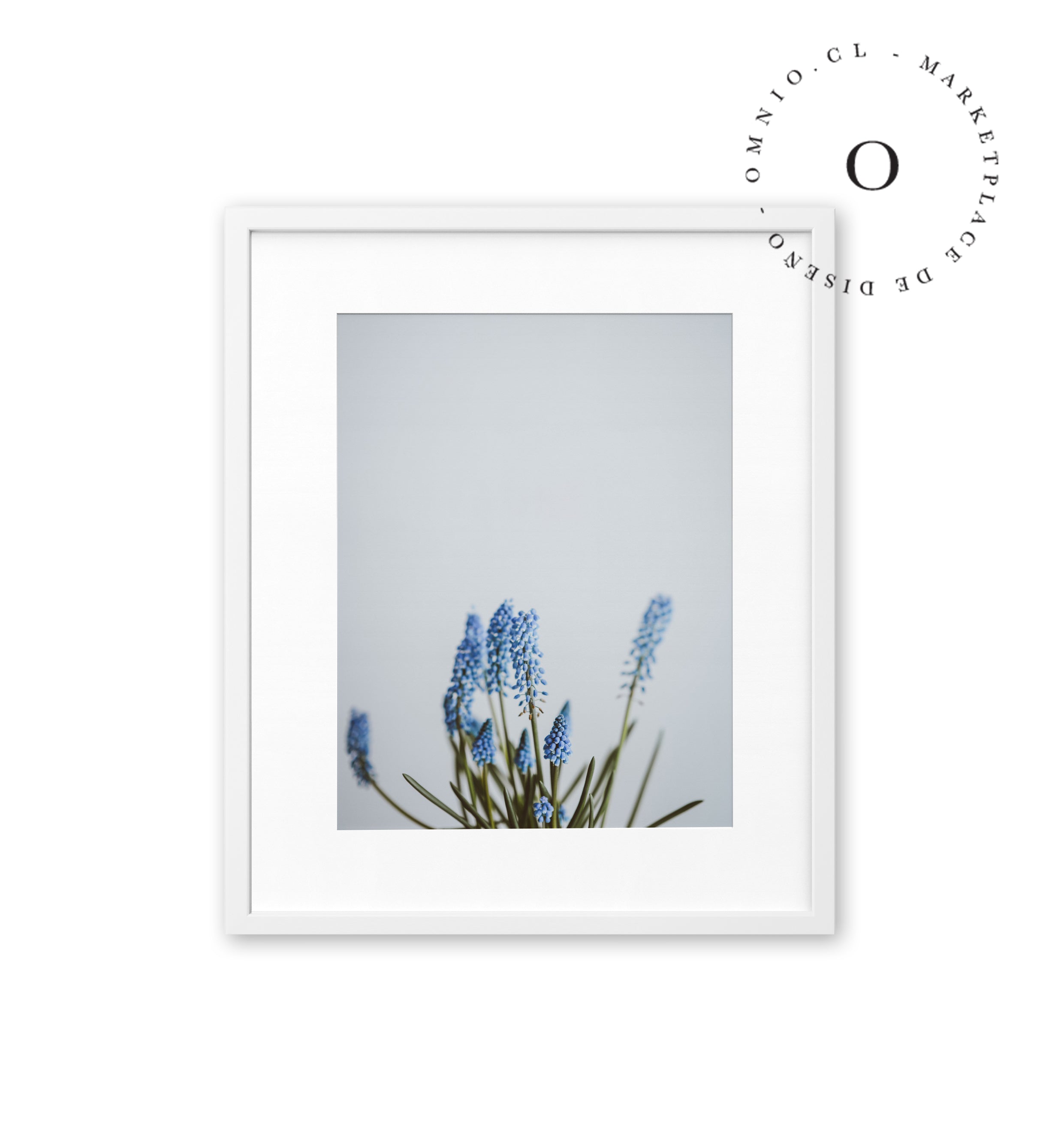 Blue Blossom Cuadro