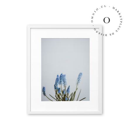 Blue Blossom Cuadro