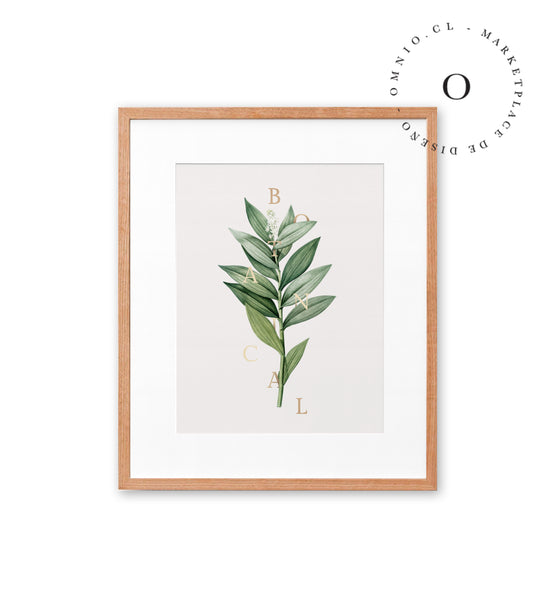 Botanical Cuadro