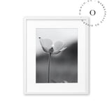 Chinita y Flor Black and White Cuadro