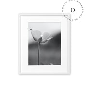 Chinita y Flor Black and White Cuadro