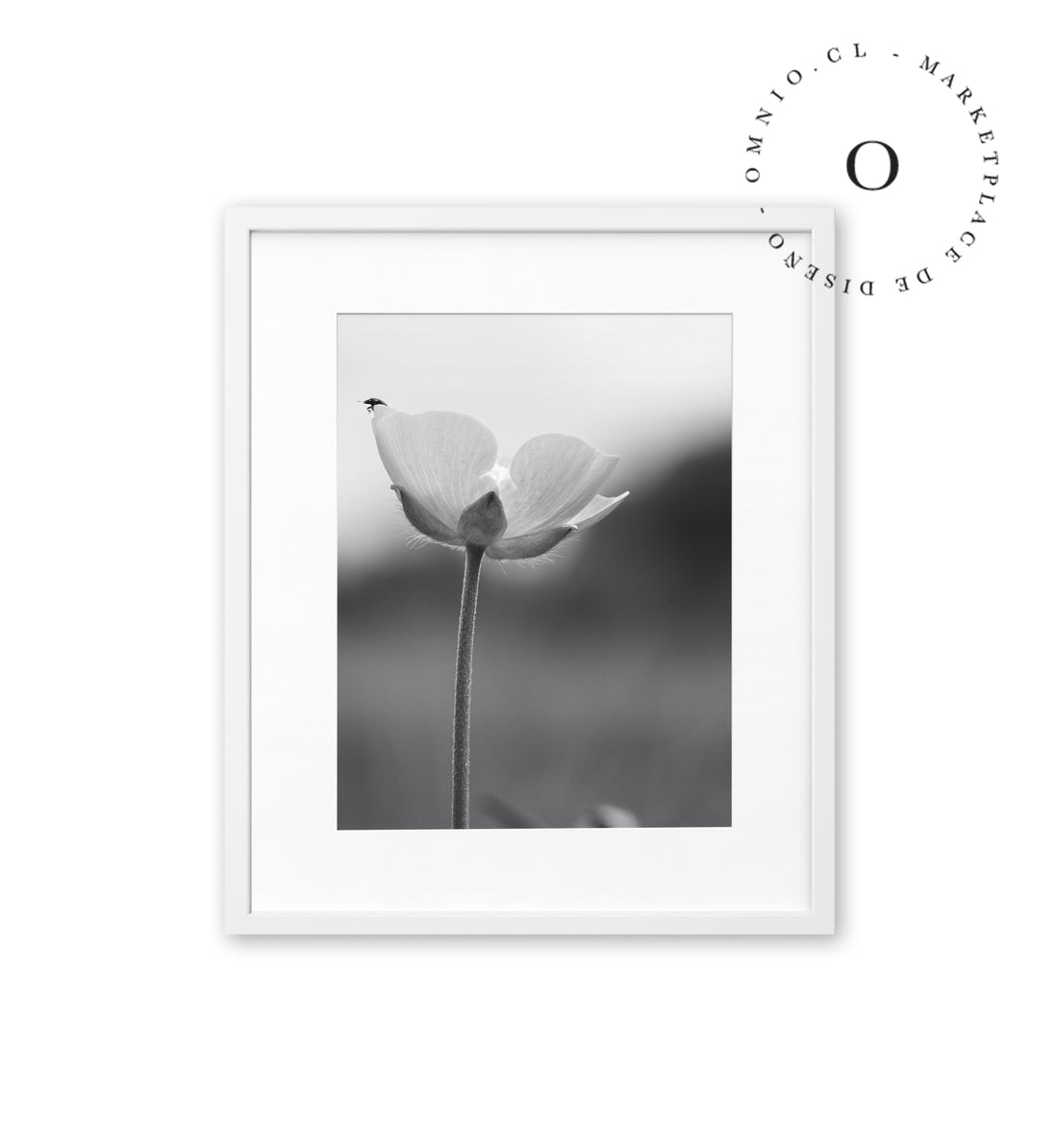 Chinita y Flor Black and White Cuadro