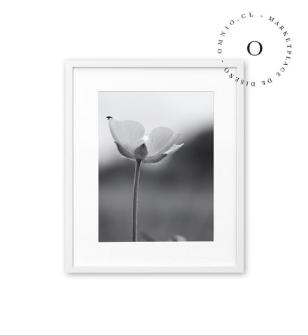 Chinita y Flor Black and White Cuadro