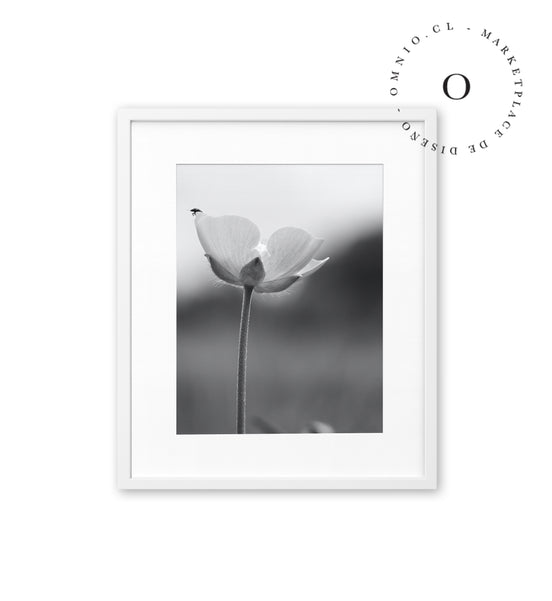 Chinita y Flor Black and White Cuadro