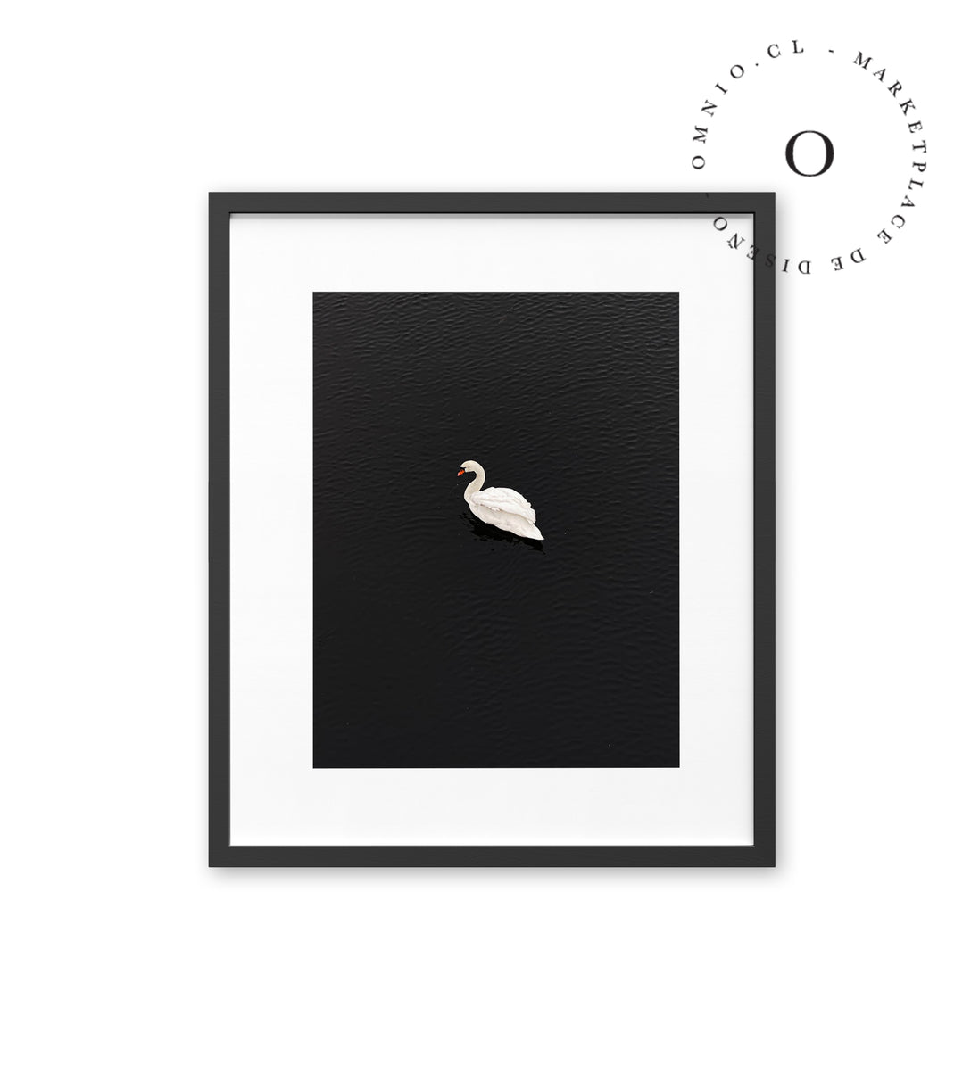 Cisne Blanco Cuadro
