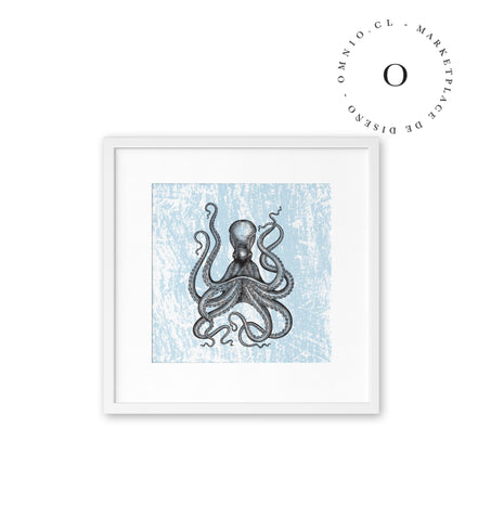 Dibujo Pulpo Cuadro