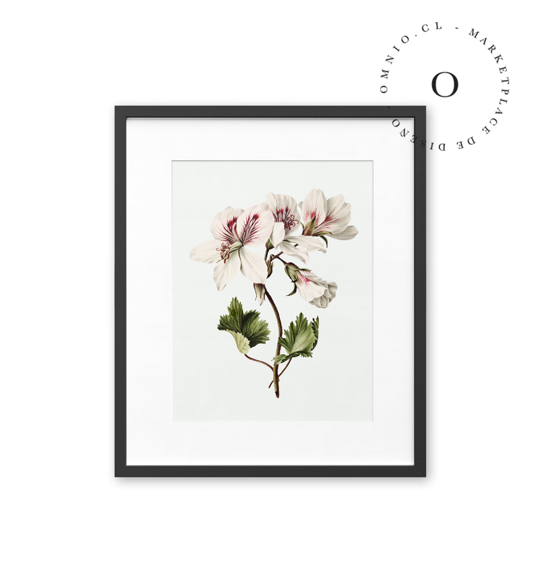 Azalea Cuadro