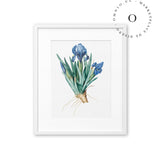 Drawing Blue Root Cuadro