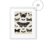 Drawing Butterflies Cuadro