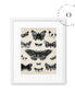 Drawing Butterflies Cuadro