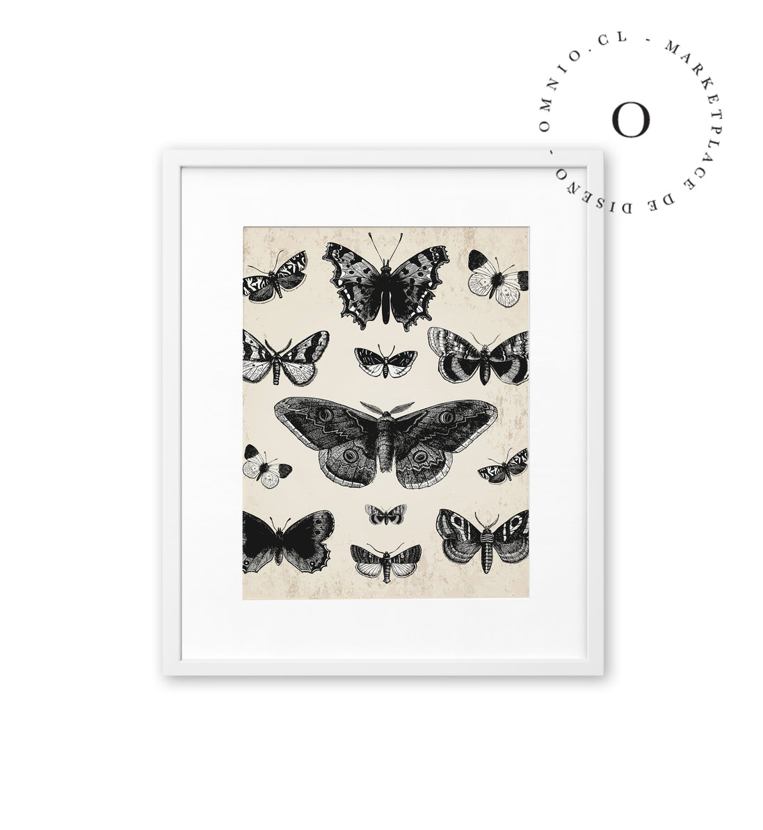 Drawing Butterflies Cuadro