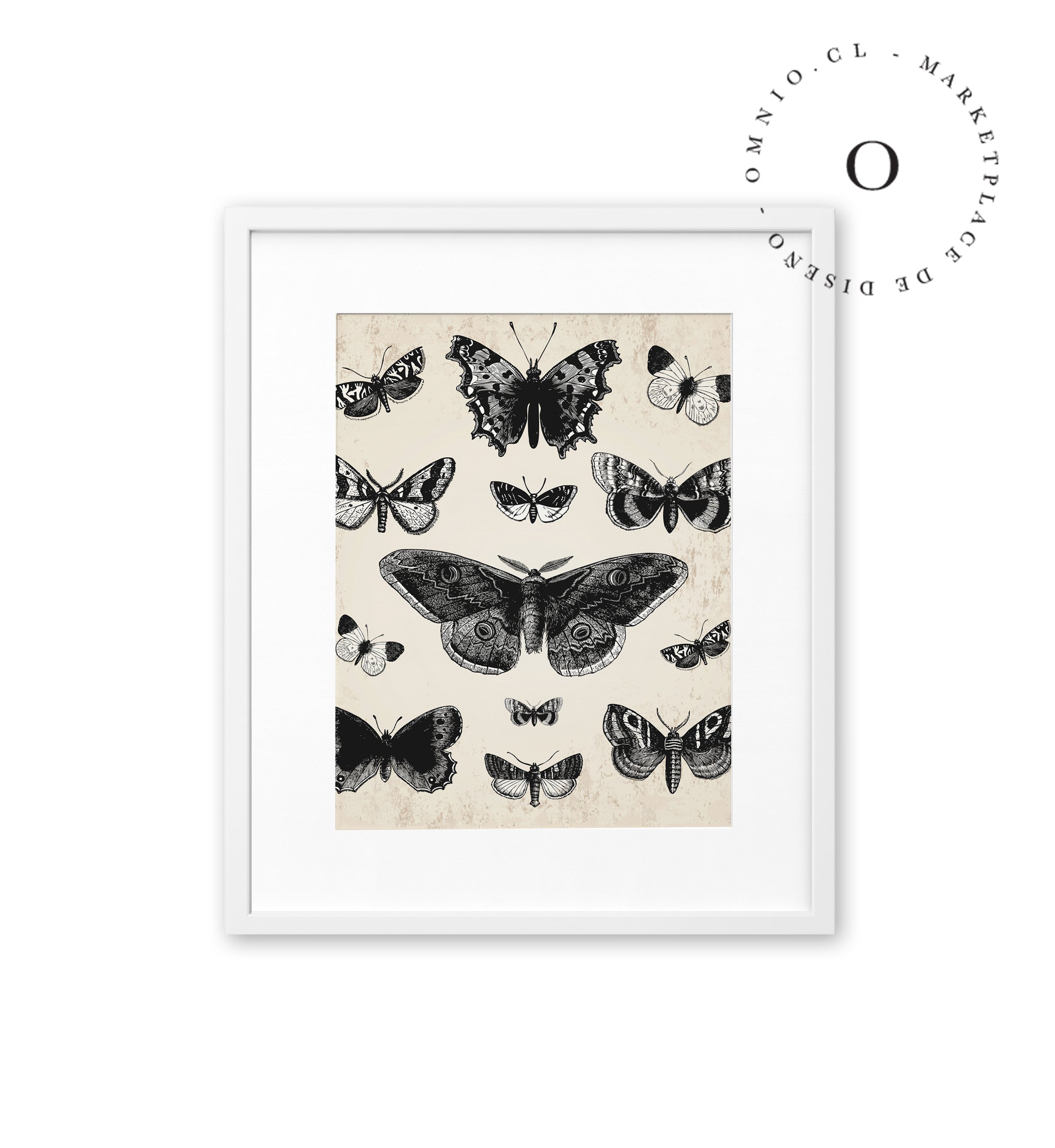Drawing Butterflies Cuadro