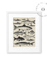 Drawing Fish Cuadro
