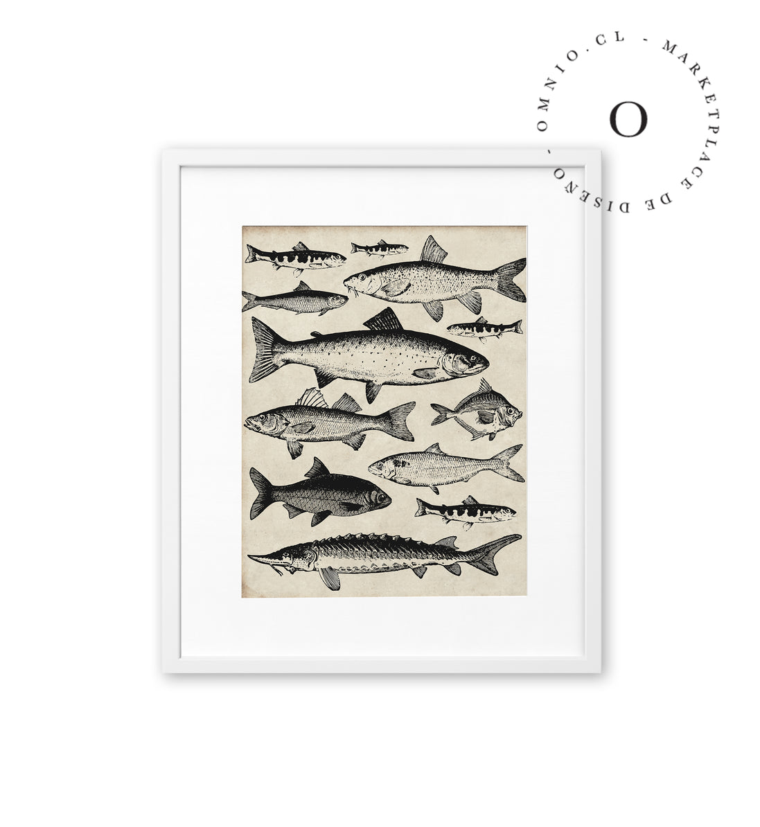 Drawing Fish Cuadro
