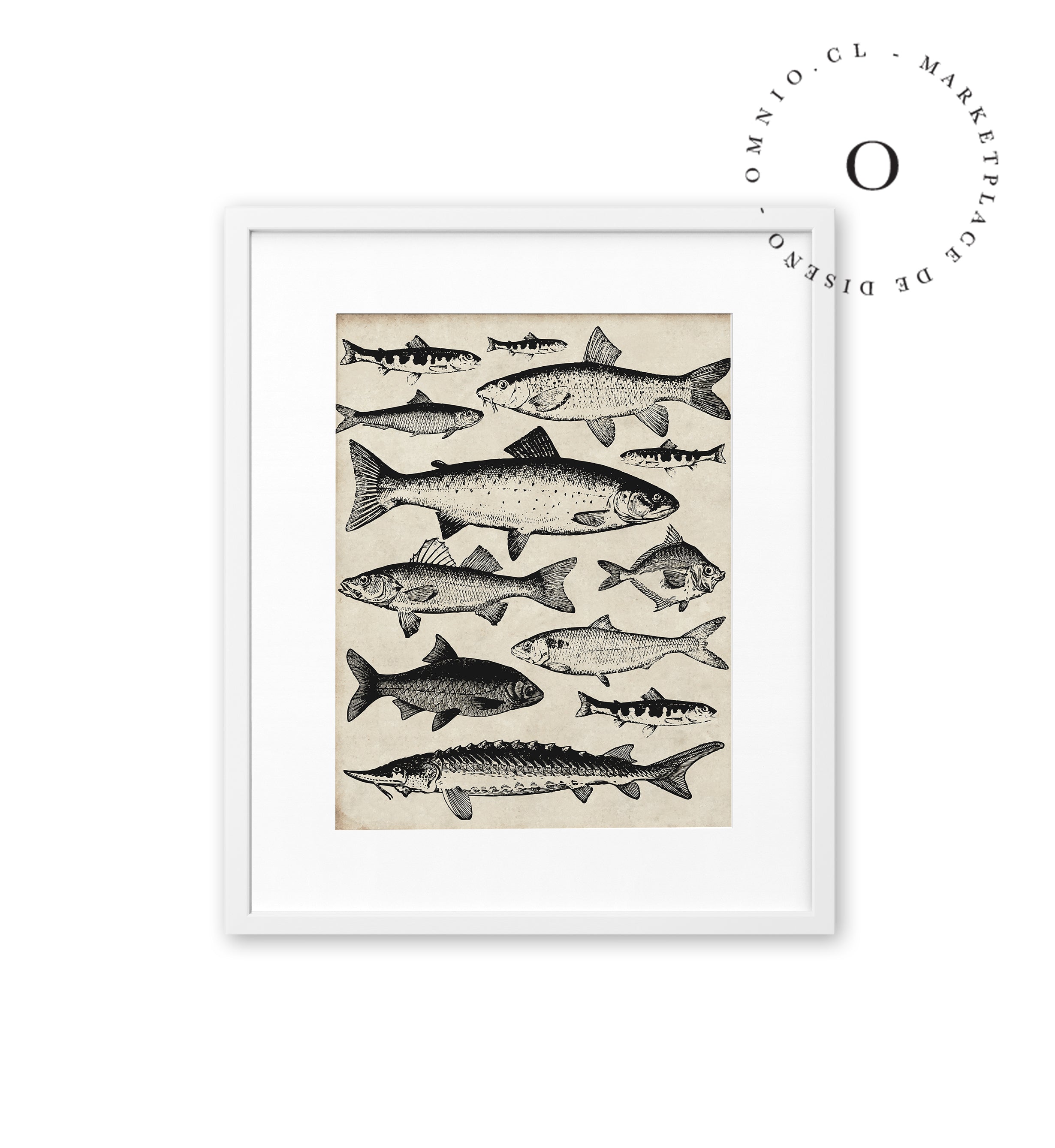 Drawing Fish Cuadro