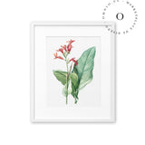 Drawing Pink Flower Cuadro