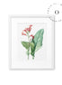 Drawing Pink Flower Cuadro