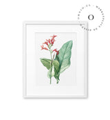 Drawing Pink Flower Cuadro