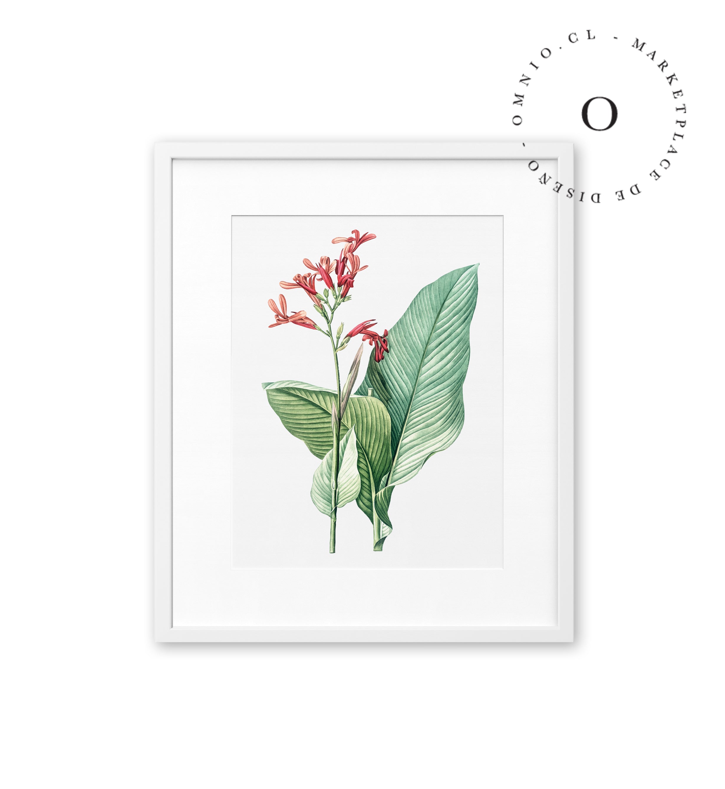 Drawing Pink Flower Cuadro
