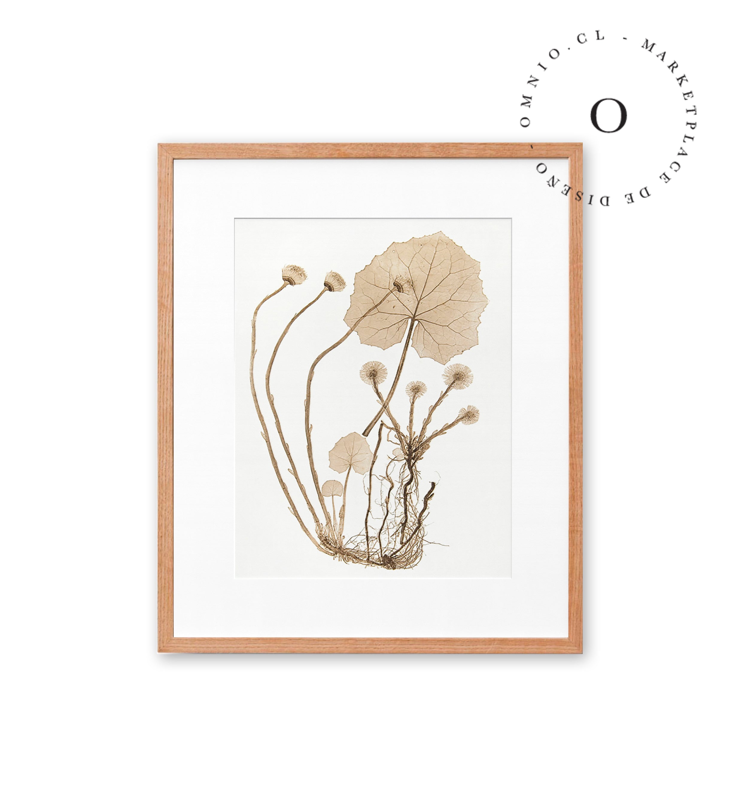 Dry Leaves Beige Cuadro