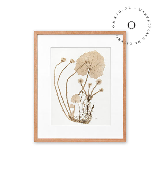 Dry Leaves Beige Cuadro