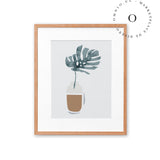 Filodendro Cuadro