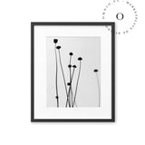 Fine Branches Cuadro