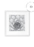 Flor Blanca Cuadro