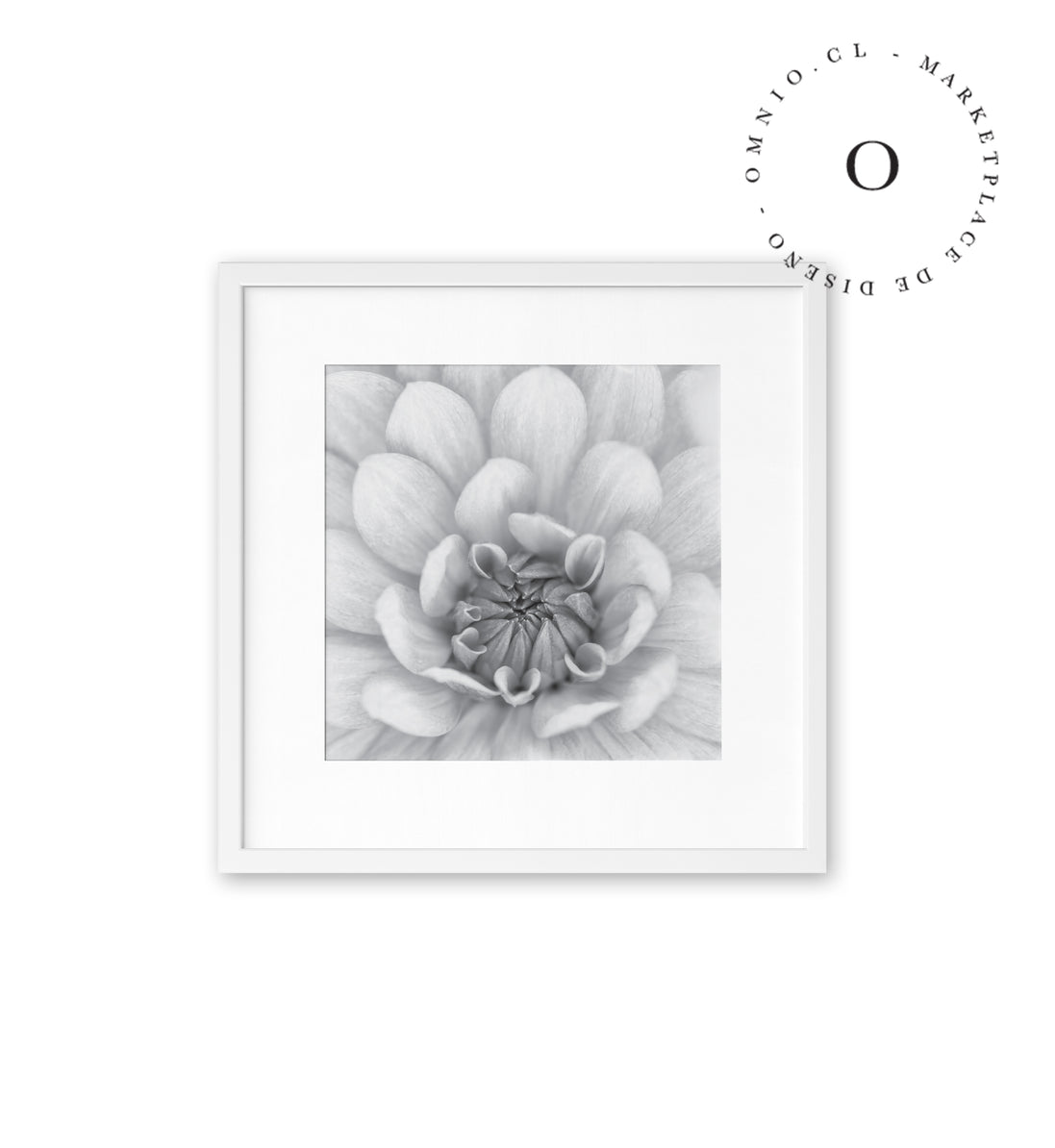 Flor Blanca Cuadro