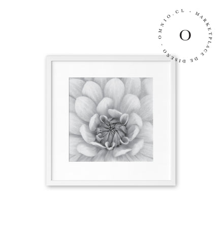 Flor Blanca Cuadro