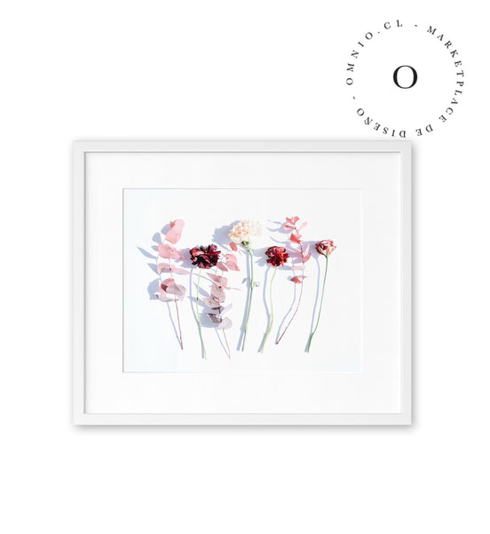 Flower Exposure Cuadro