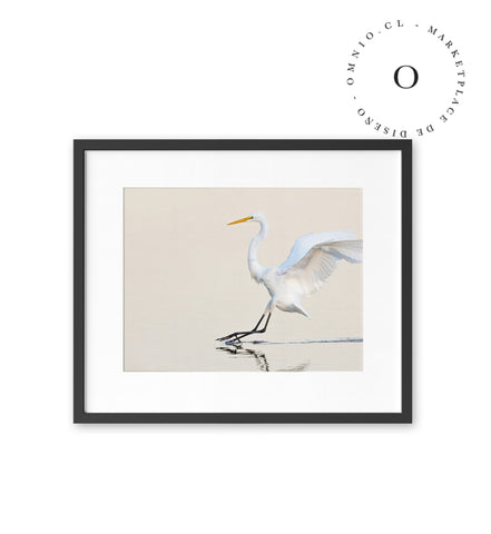 Garza Cuadro