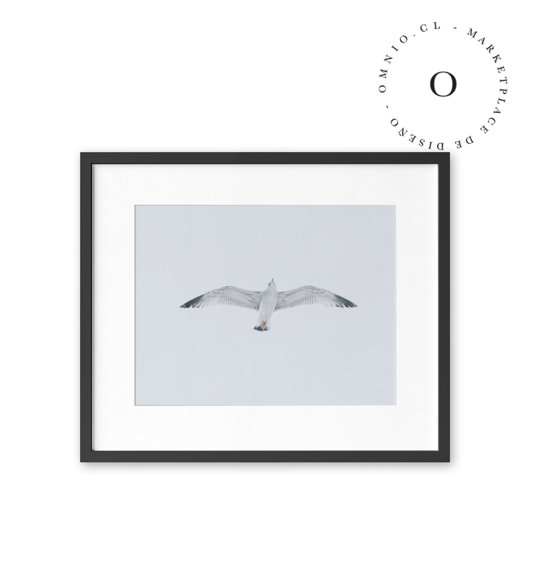 Gaviota II Cuadro